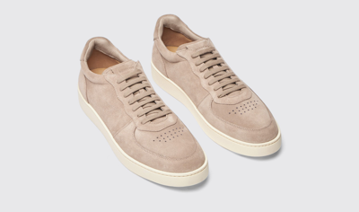 Shop Scarosso Agostino Taupe Suede - Man Sneakers Taupe In Taupe - Suede