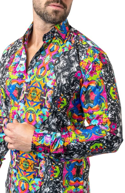 Maceoo Fibonacci Adid Dog Contemporary Fit Button-up Shirt In Black/ Blue/ Pink Multi