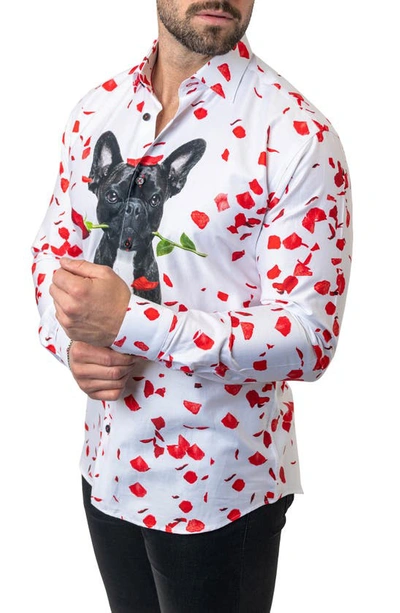 Maceoo Fibonacci Guiltylove Cotton Button-up Shirt In White