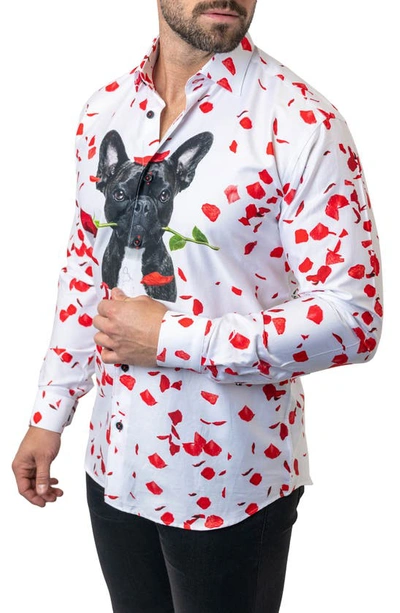Maceoo Fibonacci Guiltylove Cotton Button-up Shirt In White