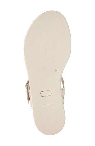 Shop Cordani Sierra Ankle Strap Wedge Sandal In Arena Nubuck