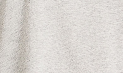 Splendid Skye T-shirt In Heather Grey