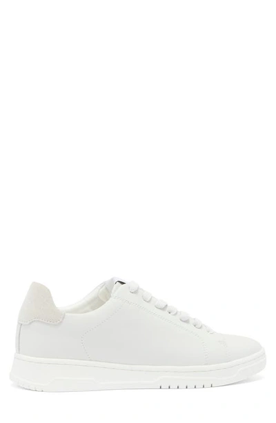 Shop Steve Madden Elsin Sneaker In White Leather