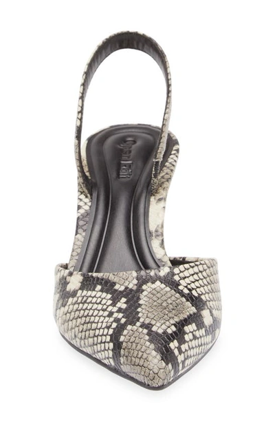 Open Edit Cammie Kitten Heel Slingback Pump In Black-white Snake