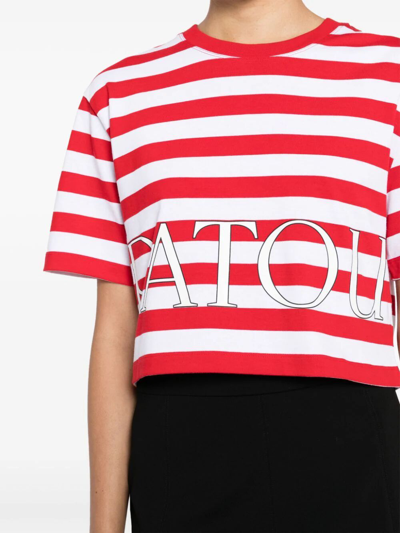 Shop Patou Breton Stripe Cropped T In Red