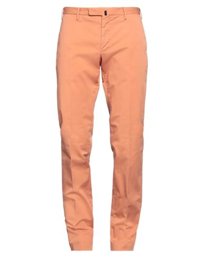 Shop Incotex Man Pants Mandarin Size 38 Cotton, Elastane