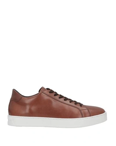 Shop Tf Sport Man Sneakers Brown Size 12 Calfskin