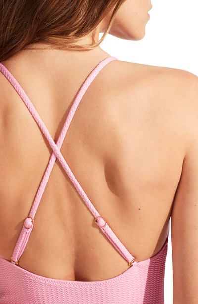 Seafolly Sea Dive Scoop Neck One-piece Swimsuit In Parfait Pink