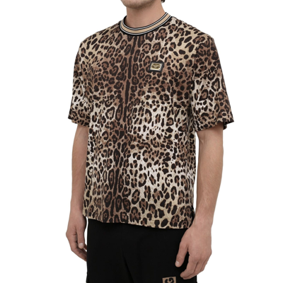 Shop Dolce & Gabbana Leopard Print T-shirt In Brown
