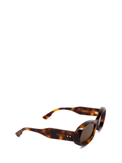 Shop Gucci Gg1527s Havana Sunglasses