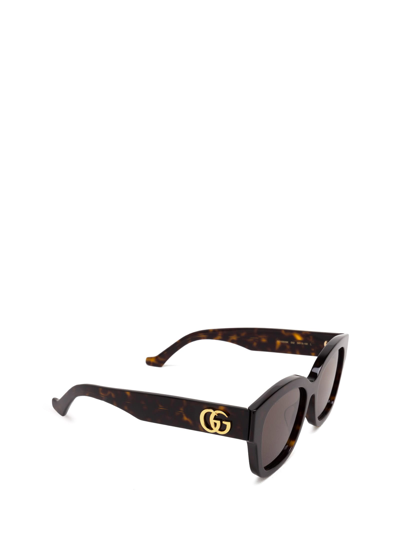 Shop Gucci Gg1550sk Havana Sunglasses