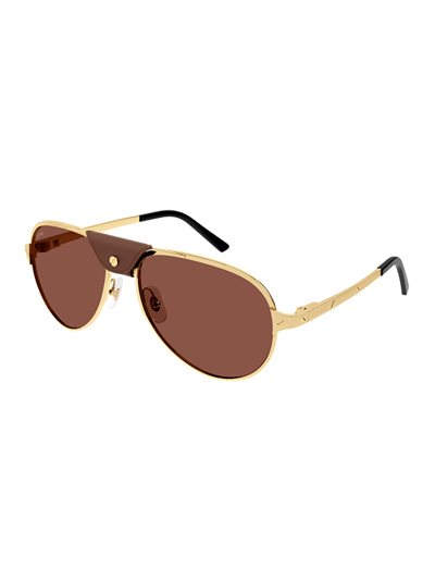 Shop Cartier Ct0034s Sunglasses In Gold Gold Red