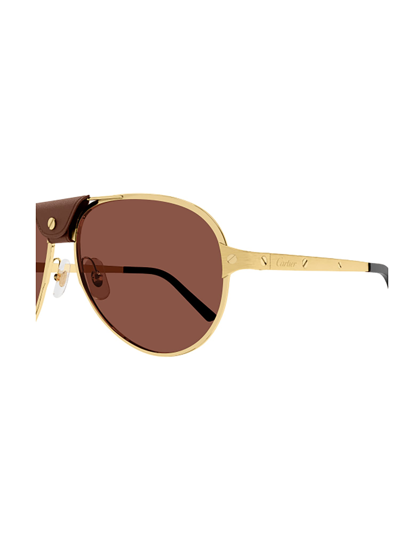 Shop Cartier Ct0034s Sunglasses In Gold Gold Red