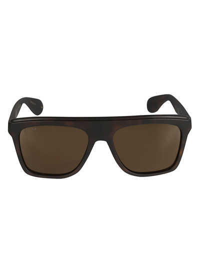 Shop Gucci Wayfarer Classic Sunglasses In Havana/brown