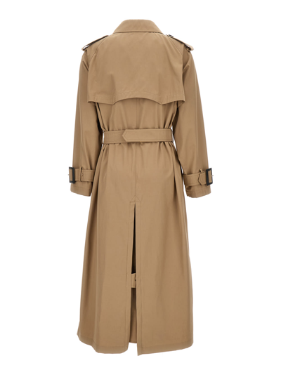 Shop Herno Beige Belted Trench Coat In Cotton Woman