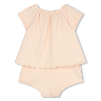 Shop Chloé Set With Shorts In Pink