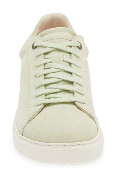 Shop Birkenstock Bend Sneaker In Faded Lime