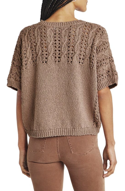 Splendid Mason Short Sleeve Sweater In Macchiato