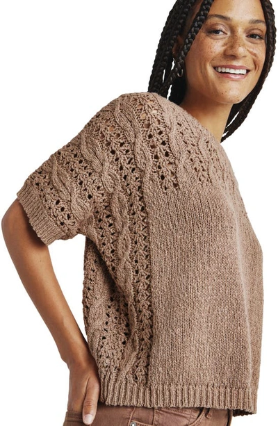 Splendid Mason Short Sleeve Sweater In Macchiato