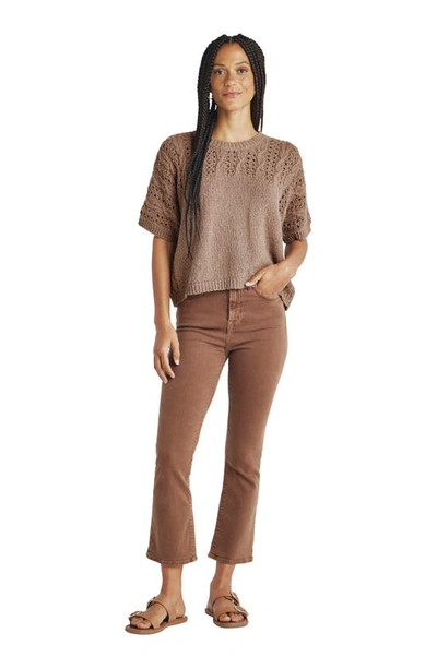 Splendid Mason Short Sleeve Sweater In Macchiato