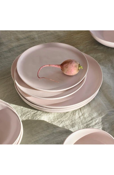 Fable The Dinner Plates In Blush Pink
