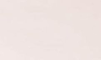 Fable The Dinner Plates In Blush Pink