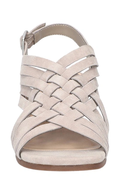 Shop Bella Vita Seble Slingback Sandal In Stone Suede Leather