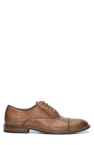 Shop Vince Camuto Loxley Cap Toe Oxford In Cognac/ Brown