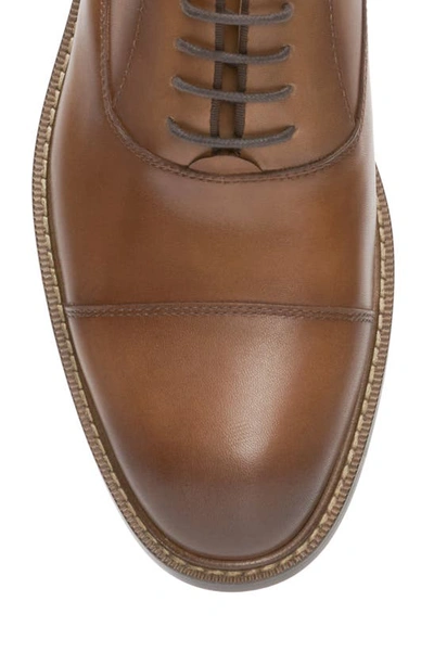 Shop Vince Camuto Loxley Cap Toe Oxford In Cognac/ Brown