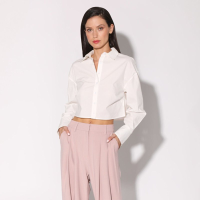 Shop Walter Baker Tammy Pant, Cagney Stripe Blush In Pink