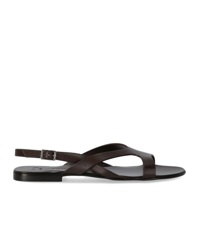 Shop Max Mara Monviso Dark Brown Flat Sandal