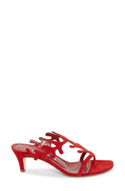 Shop Manolo Blahnik Hidrag Coral Kitten Heel Sandal In Bright Red