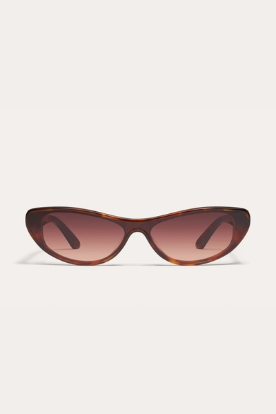 Shop Danielle Guizio Ny Slate Sunglasses In Tortoise Dark Brown