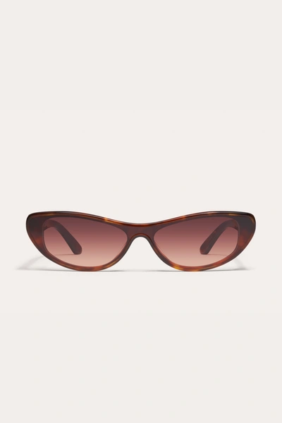 Danielle Guizio Ny Slate Sunglasses In Tortoise Dark Brown