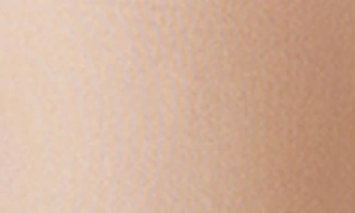 Wacoal Perfect Primer Underwire Bra In Roebuck