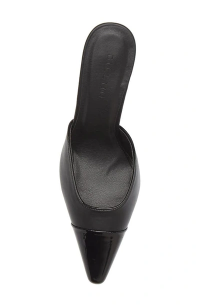 Shop Billini Ameare Pointed Toe Mule In Black Patent