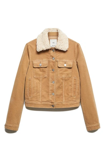 Shop Mango Corduroy Jacket With Faux Shearling Collar In Medium Brown