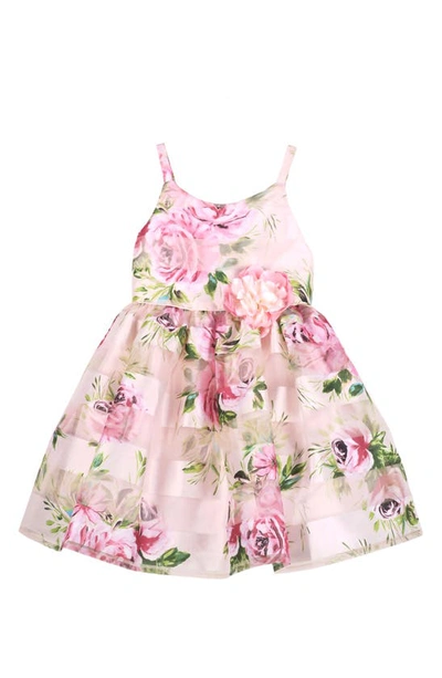 Shop Zunie Kids' Floral Stripe Dress In Pink