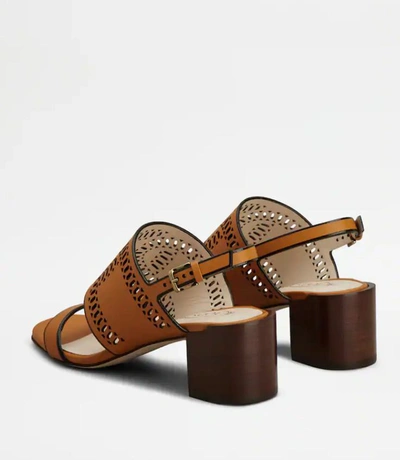 Shop Tod's Sandals In Ochre