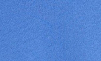 Shop Mini Rodini Kids' Chenille Basketball Squirrel Organic Cotton Sweatshirt In Blue