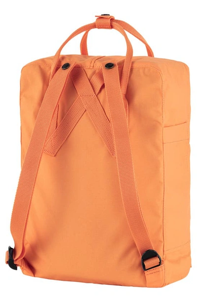 Shop Fjall Raven Kånken Water Resistant Backpack In Sunstone Orange