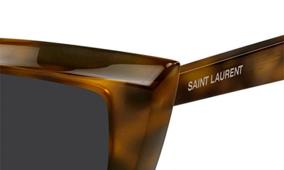 Shop Saint Laurent 54mm Cat Eye Sunglasses In Havana