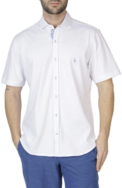 Shop Tailorbyrd Solid Knit Short Sleeve Shirt In White Dove