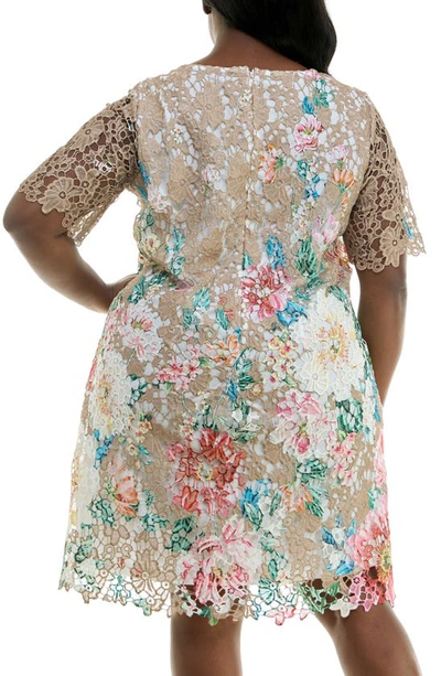 Shop Nina Leonard Elbow Length Sleeve Lace Shift Dress In Tan Multi