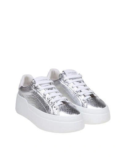 Shop Ferragamo Sneakers In Pelle Laminata Stamopa Rettile In Silver