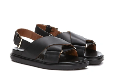 Shop Marni Sandals In Black