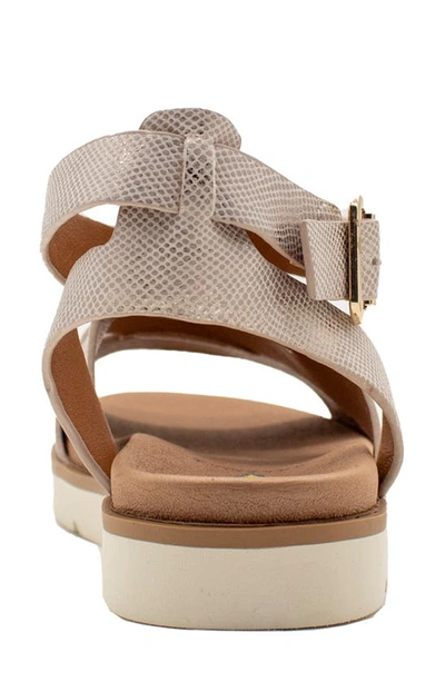 Shop Volatile S'mores Ankle Strap Sandal In Champagne