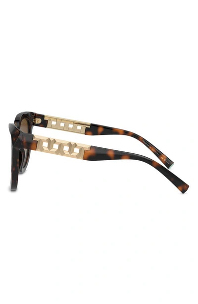 Shop Tiffany & Co 53mm Gradient Polarized Cat Eye Sunglasses In Havana