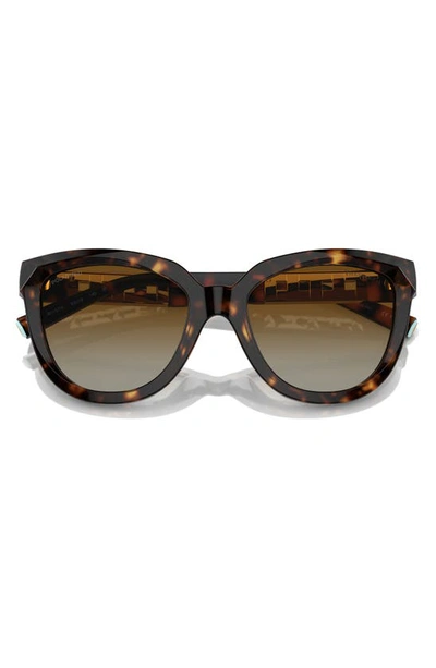 Shop Tiffany & Co 53mm Gradient Polarized Cat Eye Sunglasses In Havana