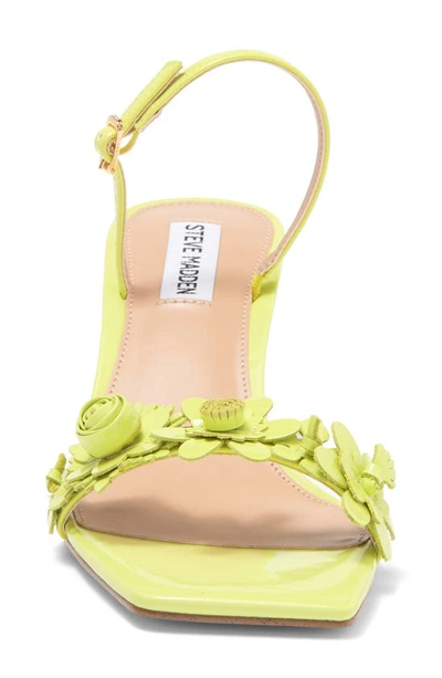 Shop Steve Madden Rosalea Slingback Sandal In Lime Patent